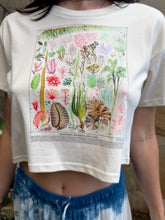 Load image into Gallery viewer, Crop Top: Vintage Seagrasses