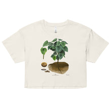 Load image into Gallery viewer, Crop Top: 'Awa Plant (Kava)