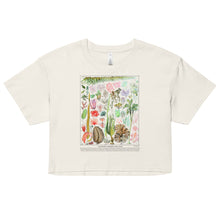 Load image into Gallery viewer, Crop Top: Vintage Seagrasses