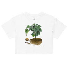 Load image into Gallery viewer, Crop Top: 'Awa Plant (Kava)