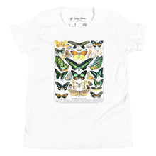 Load image into Gallery viewer, Kids T-Shirt: Vintage Butterflies