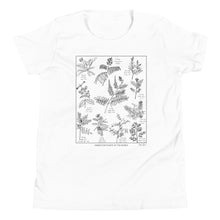 Load image into Gallery viewer, Kids T-Shirt: Indigo Plants of the World
