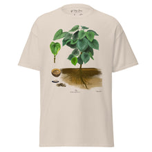 Load image into Gallery viewer, T-Shirt: 'Awa Plant (Kava)