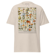 Load image into Gallery viewer, T-Shirt: Vintage Mushrooms