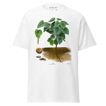 Load image into Gallery viewer, T-Shirt: 'Awa Plant (Kava)