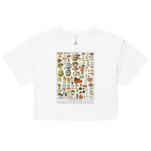 Load image into Gallery viewer, Crop Top: Vintage Mushrooms