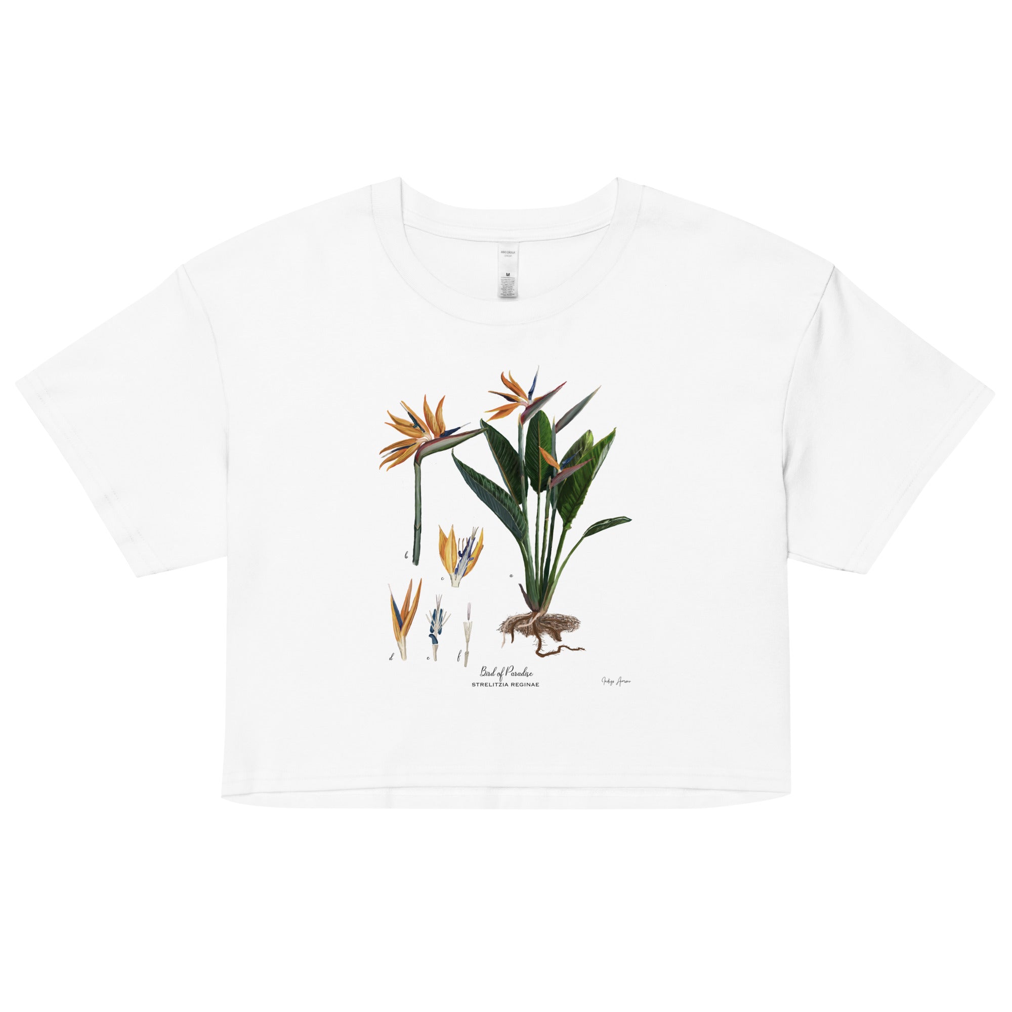 Crop Top: Bird of Paradise – Indigo Armour
