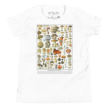 Load image into Gallery viewer, Kids T-Shirt: Mushrooms of the World
